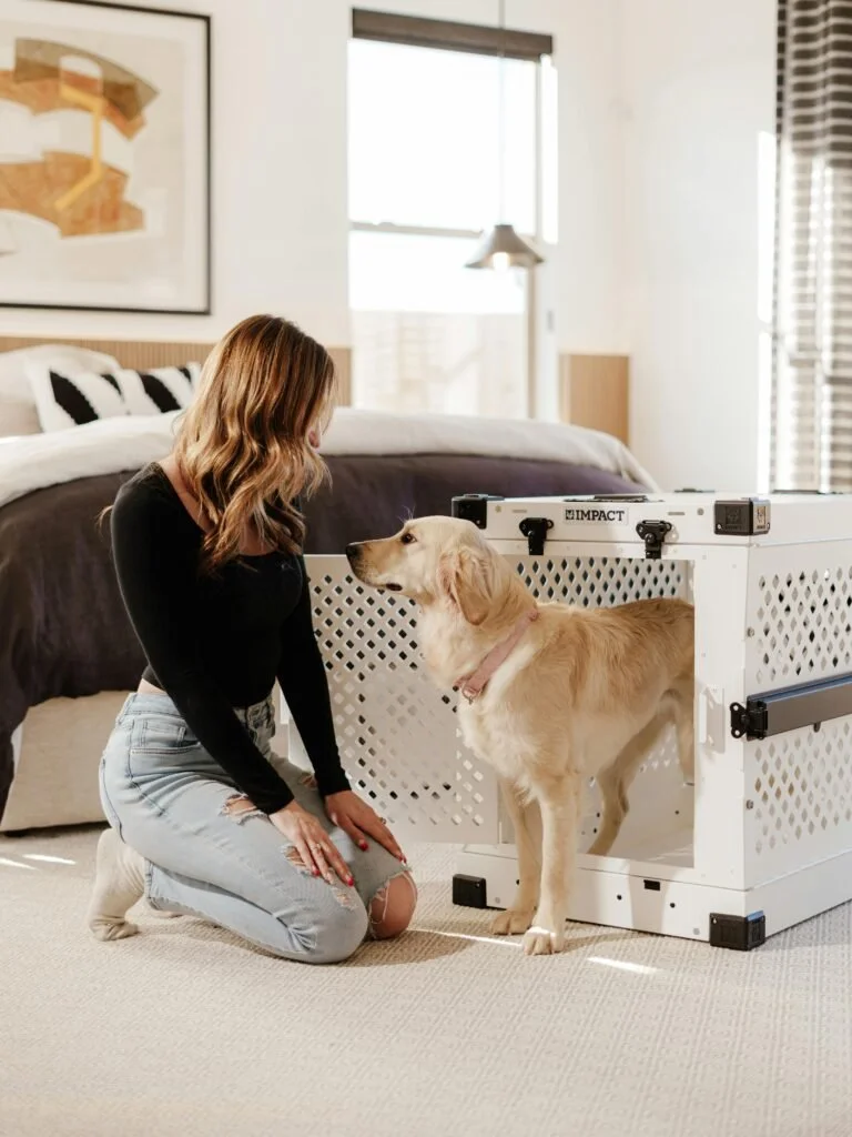 Best Crate Training for Dogs Guide: Easy Tips for Beginners dog in a crate training