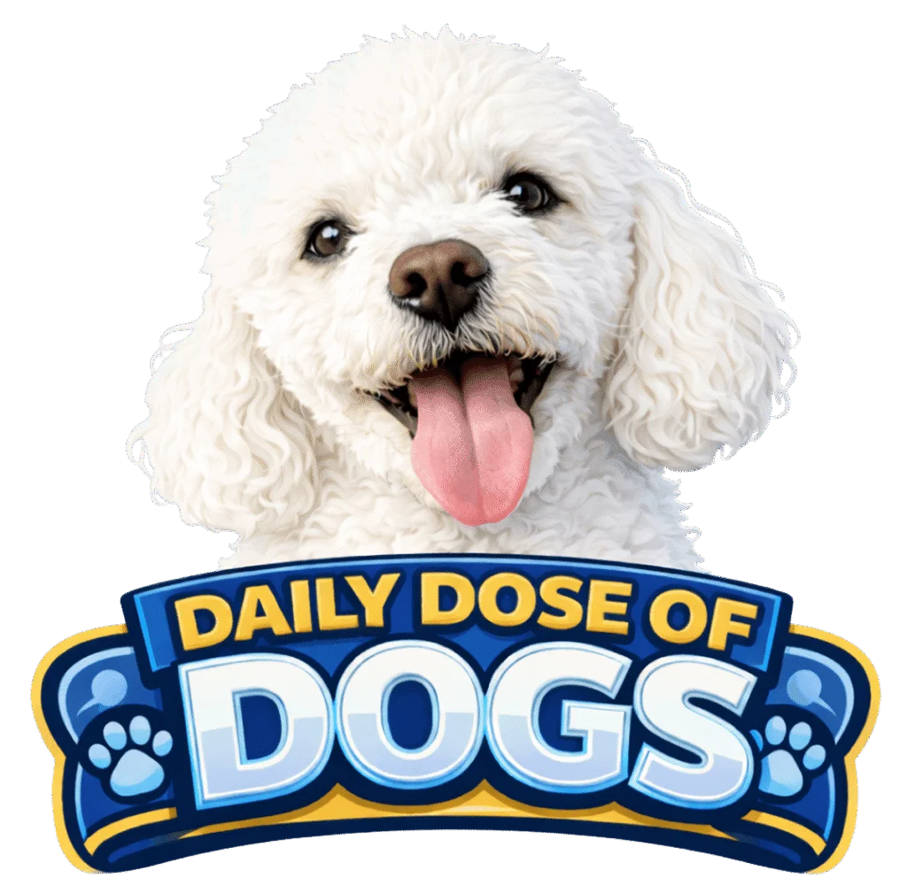 daily dose of dogs one to use
