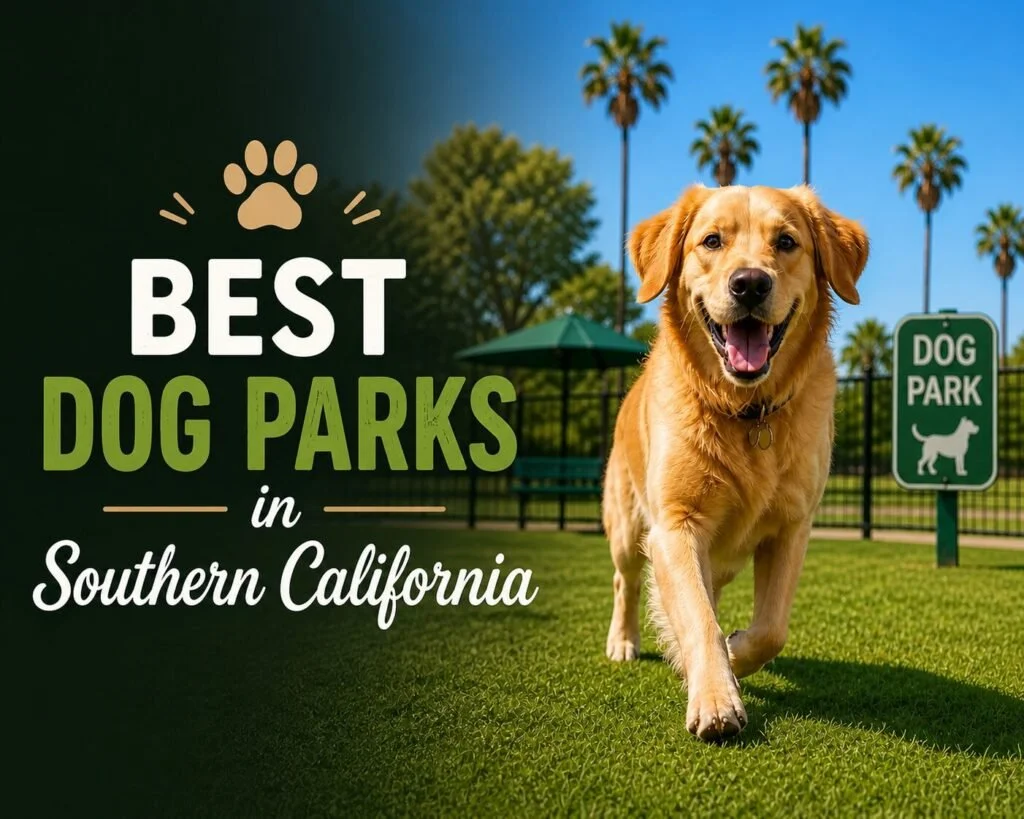 Best Dog Parks in Southern California (Off-Leash, Safe & Worth Visiting) dog parks in southern california